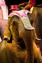 IMG_5887-hp