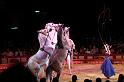 IMG_6109-hp