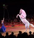 IMG_6119-hp